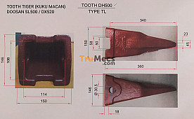 TOOTH TIGER (KUKU MACAN