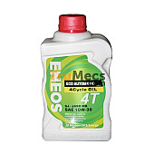4 CYCLE (4T) JASO MA (SJ 20W40) 800ml