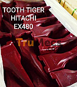 POINT TOOTH TIGER (LANCIP)