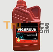 WEALTHY OIL VIGOROUS MOTOR OIL 10W-40 JASO MA 2 APISL 1000L