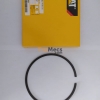 RING PISTON IN